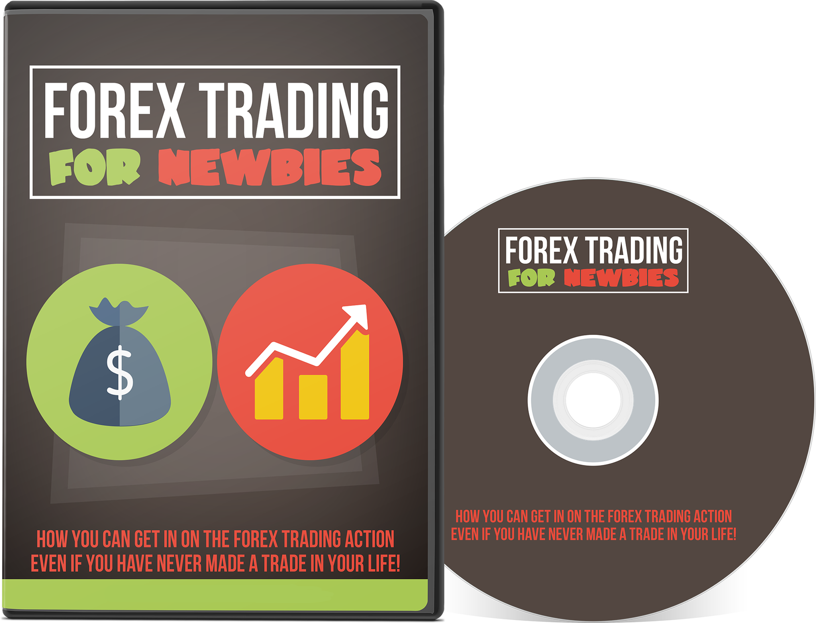 Forex Trading For Newbies